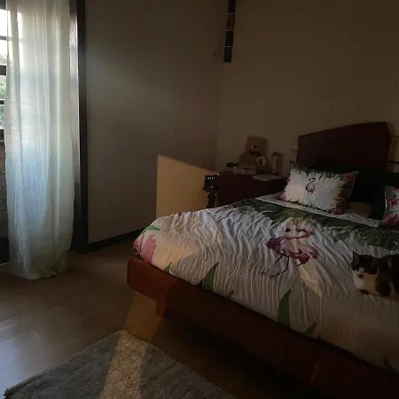 Casa Da Serra Vila Verde (Braga)